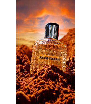 FUCKING FABULOUS