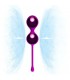 PRETTY LOVE KEGEL BALL SET
