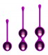 PRETTY LOVE KEGEL BALL SET