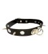 COLLAR CON PUAS