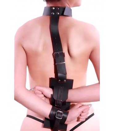 COLLAR INMOVILIZADOR