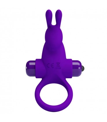 PRETTY LOVE VIBRANT RING 1