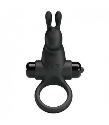 PRETTY LOVE VIBRANT RING 1