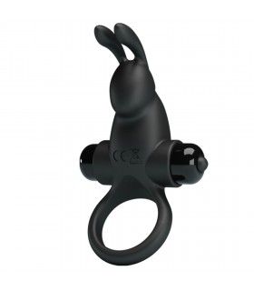 PRETTY LOVE VIBRANT RING 1