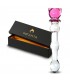 INFARTA GLASS TEDDY
