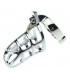 CHASTITY SENTINEL