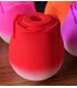 ROSETTE