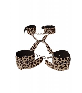 INMOVILIZADOR EN CRUZ LEOPARDO