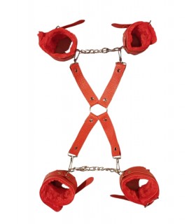 INMOVILIZADOR EN CRUZ ROJO