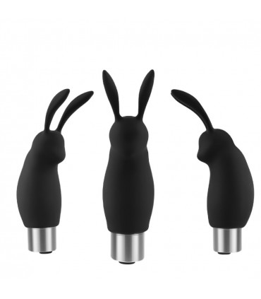 LEPUS