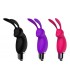 LEPUS