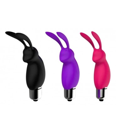 LEPUS