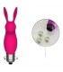 LEPUS