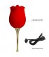 PRETTY LOVE ROSE LOVER