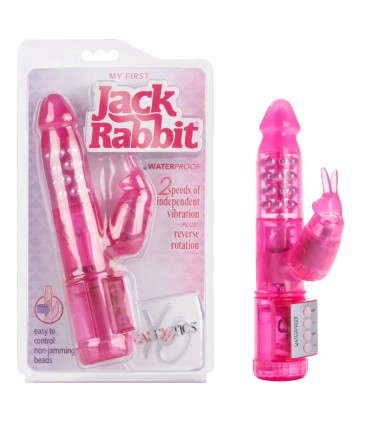 JACK RABBIT