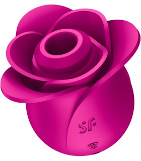 SATISFYER PRO 2 MODERN BLOSSOM