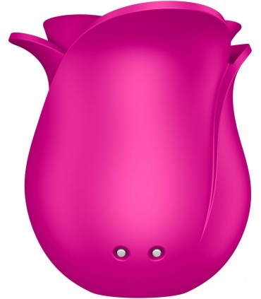 SATISFYER PRO 2 MODERN BLOSSOM