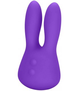 MARVELOUS BUNNY