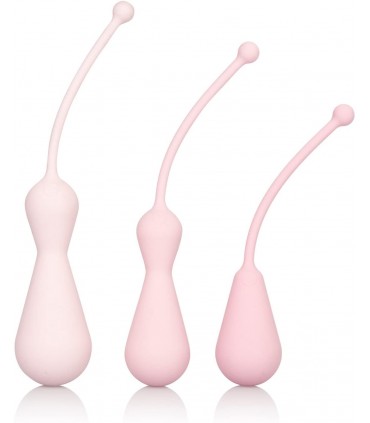 INSPIRE KEGEL TRAINING KIT