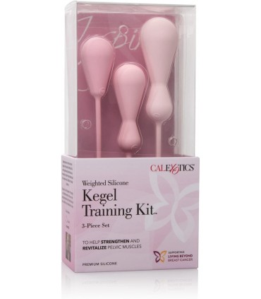 INSPIRE KEGEL TRAINING KIT