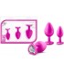 BLING PLUGS TRAINER KIT